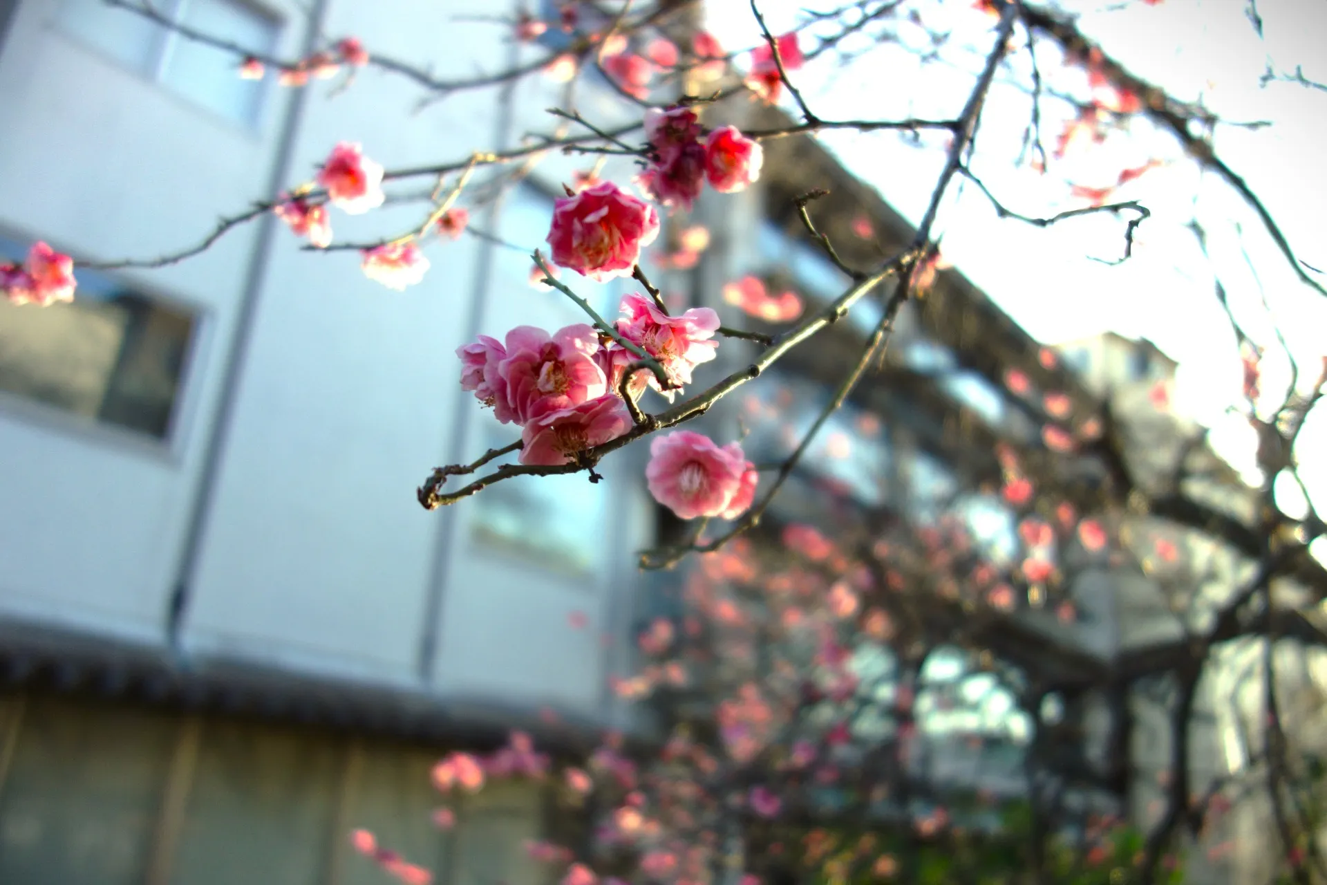 京都で仕事の「積み上げ」「柔軟さ」いろいろ考える