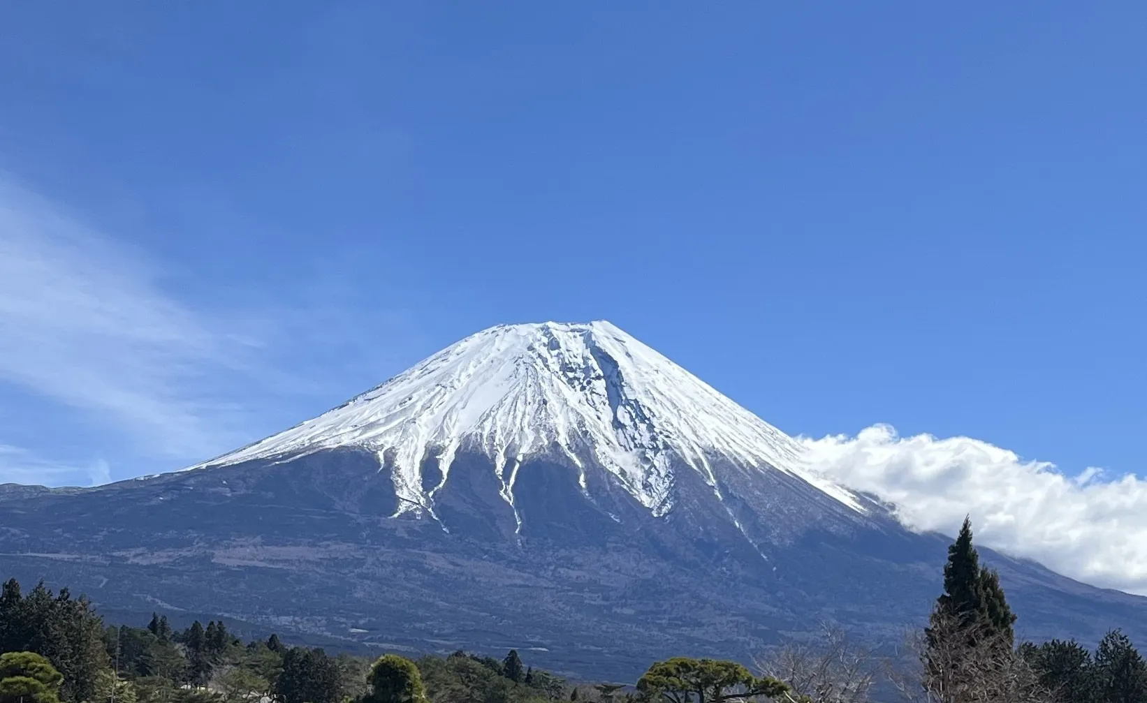 「富士山」の魔力！