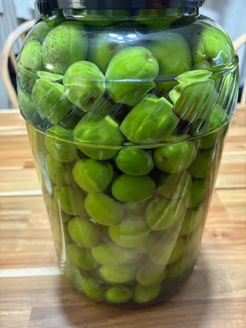 嚥下・咀嚼　わが身をもって考えたこと